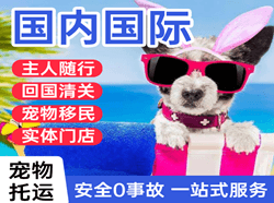 惠州平潭机场邮寄国际宠物托运 【国